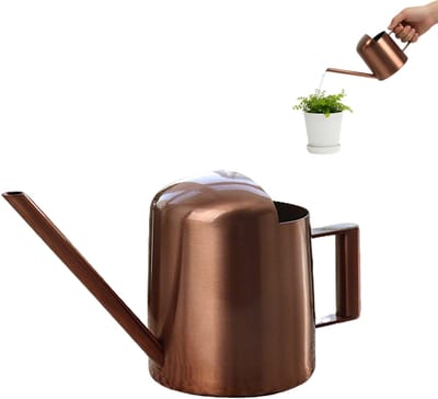 Mini Gieter met Lange Tuit voor Planten - 300 ml Roestvrij Staal Tuingieter