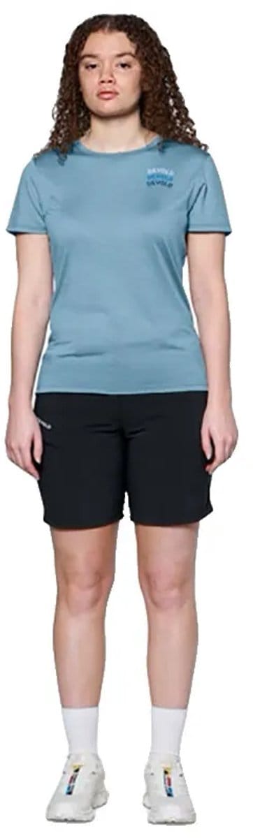 Devold Of Norway Active Devold Legacy T-shirt Met Korte Mouwen Blauw L Vrouw
