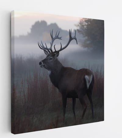 Saammp Canvas Schilderij - Hert - Mist - Natuur - Dieren - 20x20 - Foto op canvas - Wanddecoratie - Muurdecoratie Woonkamer - Slaapkamer decoratie - Canvas Print