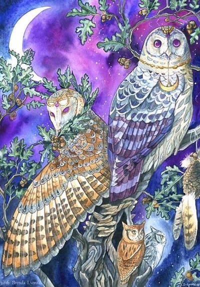 Diamond Painting Set 30x40cm - Owl - GD79285 - Full size ronde steentjes - Gratis verzonden