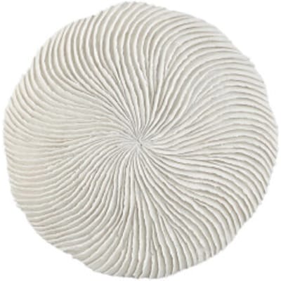 PTMD Wandpaneel Kathelle - 35x6x35 cm - Poly - Wit