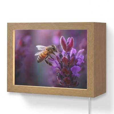 Wandlamp 20x15 cm - Oplaadbaar - Honingbij - Paarse bloemen - Details - Wandlampen binnen woonkamer - Slaapkamer lamp met kabel - Decoratieve nachtlamp - Vloerlamp snoer
