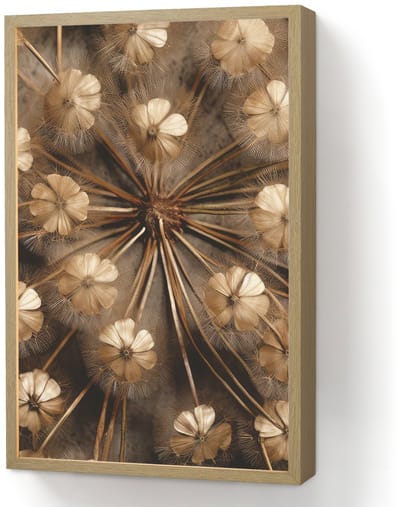 Wandlamp 40x60 cm - Oplaadbaar - Droogbloemen - Bruin - Natuur - Wandlampen binnen woonkamer - Slaapkamer lamp - Decoratieve nachtlamp - Vloerlamp draadloos