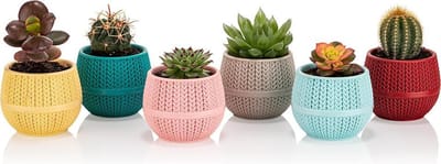 6st Bloempotjes cactuspotjes in verschillende kleuren 0.13L gehaakt motief