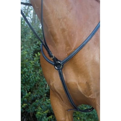 Jachthalsband voor paard met voeringT de T