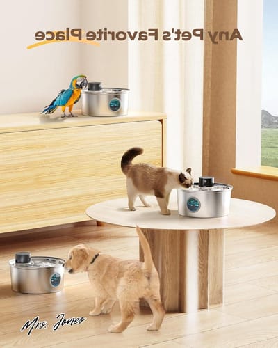 Mrs. Jones Drinkfontein voor katten draadloos - 32 l kattenfontein - stille katten drinkfontein - kattendrinkfontein - plaats het overal waar uw huisdier wil - FOFNON .