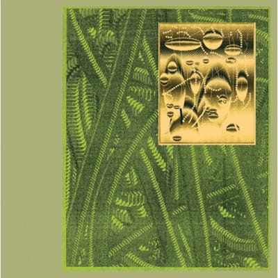 De Beren Gieren - Less Is Endless (CD)