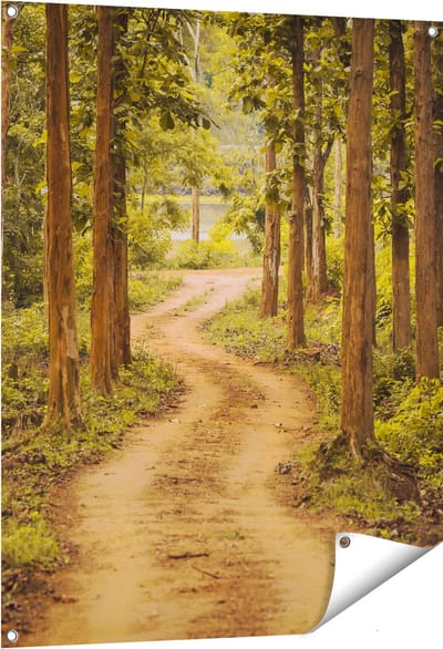 Gards Tuinposter Pad in het Bos met Bomen - 80x100 cm - Tuindoek - Tuindecoratie - Wanddecoratie buiten - Tuinschilderij