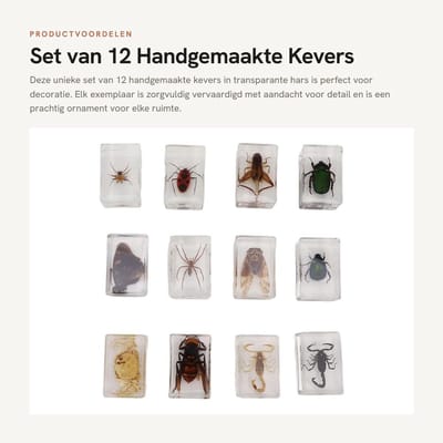 Dailygoods- Decoratie Handgemaakte Ornamenten - 12 x Kevers - Hars - Bug Exemplaren - Milieuvriendelijk - Realistische Weergave - Insectenornamenten
