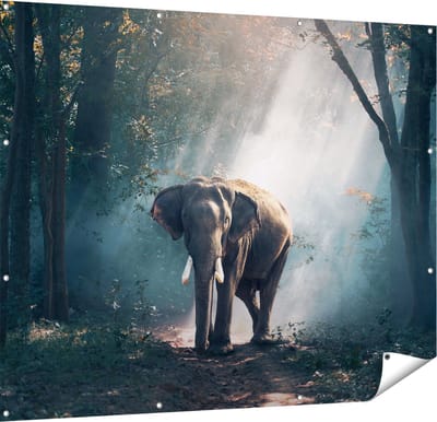 Gards Tuinposter Olifant in het Bos met Zonneschijn - 150x120 cm - Tuindoek - Tuindecoratie - Wanddecoratie buiten - Tuinschilderij