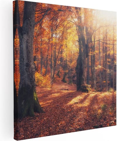 Artaza Canvas Schilderij Herfstbos - 80x80 cm - Wanddecoratie Bos - Muurdecoratie Bomen - Schilderijen Op Canvas Landschap