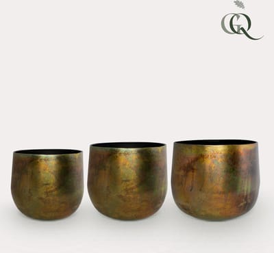 Green Harmony| Elisa vintage green - set van 3