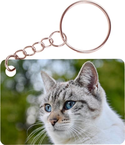 Sleutelhanger 6x4cm - Poes Wit/Tijger Close-up