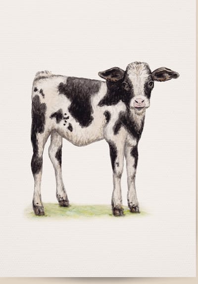 World of Mies poster kalfje - A4 - mooi dik papier - Snel verzonden! - boerderij - dieren in aquarel - geschilderd door Mies