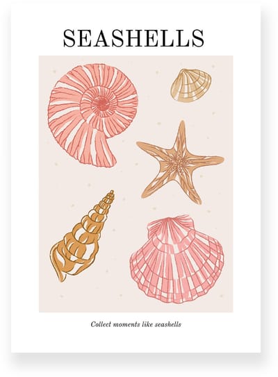 Poster 20x30 cm - Seashells - Strand - Roze - Bruin - Minimalistisch - Boho - Muurdecoratie - Wanddecoratie