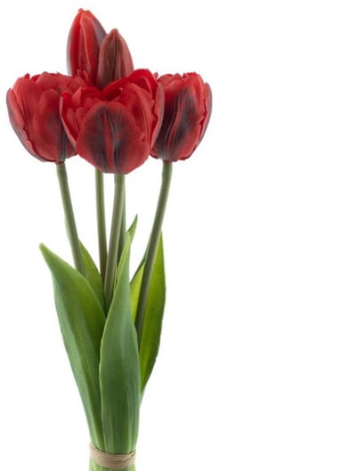 Erutan avon - PSO Triumph tulip bundle Sally x5 red 29 cm