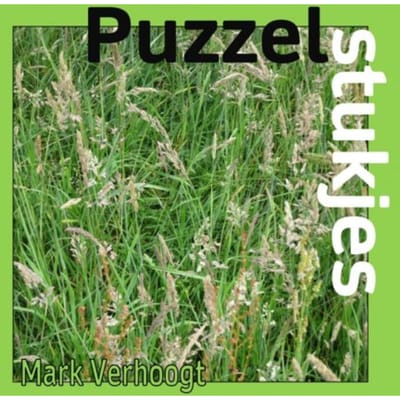 Puzzelstukjes - Mark Verhoogt