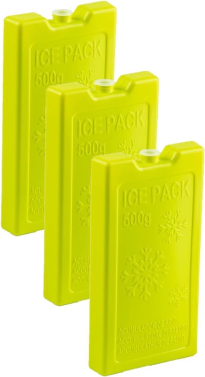 Plasticforte Koelelementen - 6x stuks - 500 grams - 20 x 10 cm - groen - kunststof - voor koeltas en koelbox