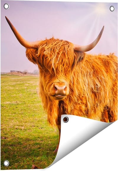 Gards Tuinposter Bruine Schotse Hooglander Koe - Kleur - 40x50 cm - Tuindoek - Tuindecoratie - Wanddecoratie buiten - Tuinschilderij
