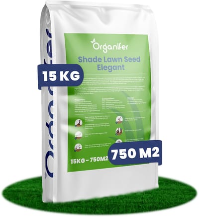 Schaduwgazon Graszaad (15kg, 750m2) - Graszaad Schaduw - Graszaad Snelkiemend - Organifer Elegant - Schaduw Graszaad - NAK Gecertificeerd - Zeer hoge schaduw en droogte tolerantie - Ideaal voor Aanleg & Herstel in Schaduw