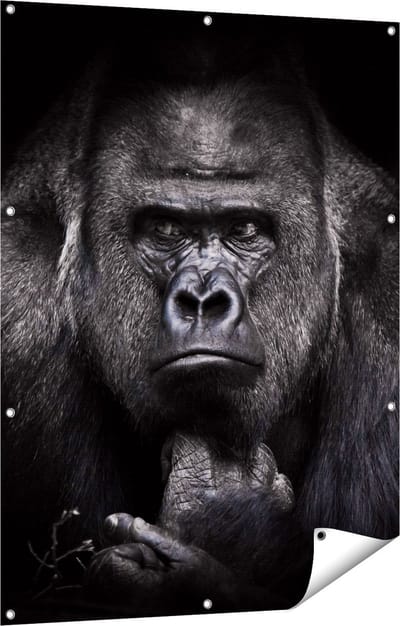 Gards Tuinposter Gorilla - Zwart Wit - 90x120 cm - Tuindoek - Tuindecoratie - Wanddecoratie buiten - Tuinschilderij