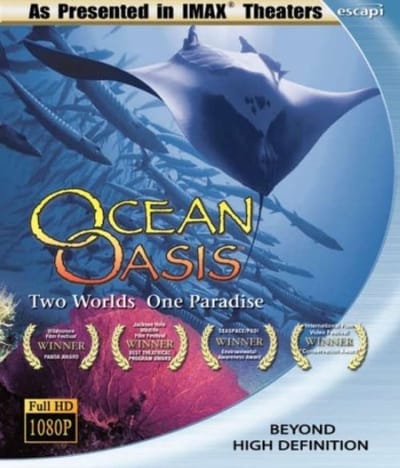 Ocean Oasis - Two Worlds One Paradise