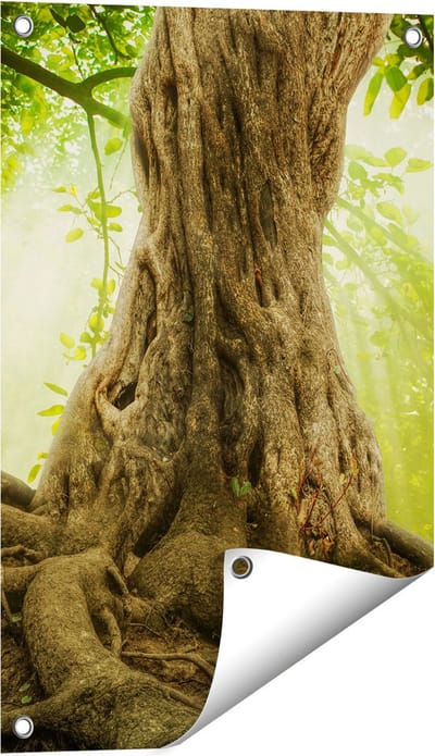 Gards Tuinposter Grote Boom in het Bos met Wortels - 40x60 cm - Tuindoek - Tuindecoratie - Wanddecoratie buiten - Tuinschilderij