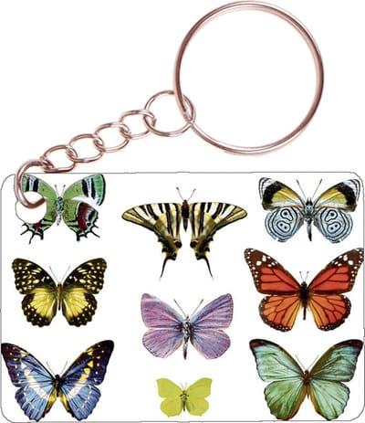 Sleutelhanger 6x4cm - Diverse Vlinders - Verzameling