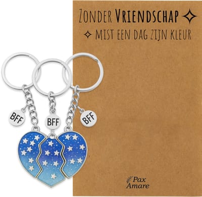 BFF Sleutelhanger voor 3 'Zonder Vriendschap mist een dag zijn kleur' - Magnetisch Blauw Hartje - Sleutelhanger set op Cadeau Kaartje - Zilverkleurig - Vriendschap Symbool - Pax Amare