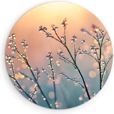 Saammp Muurcirkel Hout - Natte Planten - Natuur - Landschap - Ø 90 - Wandcirkel - Wanddecoratie Cirkel - Muurdecoratie Woonkamer - Slaapkamer decoratie - Rond Schilderij