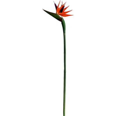 Kunstmatige bloemensimulatie, nep Strelitzia Reginae-bloem, Chinese huisdecoratie, bruiloft black