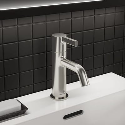 Ideal Standard basin mixer spout 11 cm, without drain BC776GN