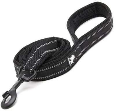 Hondenriem voor Puppy’s - Gewatteerde Reflecterende Wandelriem 200 cm