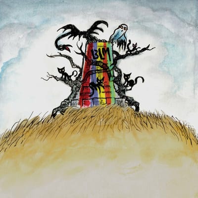 Drive-By Truckers - The New OK (CD)