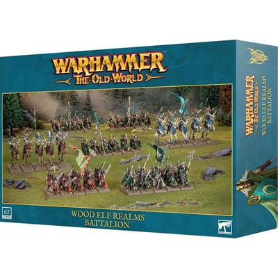 Beeldje Games Workshop Warhammer ToW - Royaumes Elfes Sylvains : Bataillon