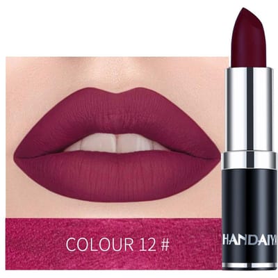 Handaiyan Sexy Naakt Rood Bruin Paars Lipgloss Matte Lipgloss Fluweelachtige Lipstick Matte Waterdichte Make-up Langdurige Cosmetische 12
