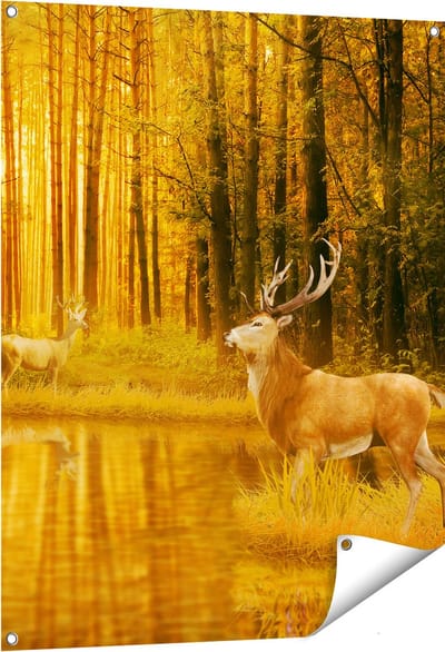 Gards Tuinposter Twee Herten in het Bos bij het Water - 80x100 cm - Tuindoek - Tuindecoratie - Wanddecoratie buiten - Tuinschilderij