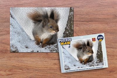 Puzzel Eekhoorn - Dier - Boom - Winter - Legpuzzel - Puzzel 500 stukjes - Kerst - Cadeau - Kerstcadeau voor mannen, vrouwen en kinderen