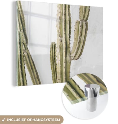 MuchoWow® Glasschilderij 160x120 cm - Schilderij acrylglas - Cactus - Zomer - Planten - Foto op glas - Schilderijen
