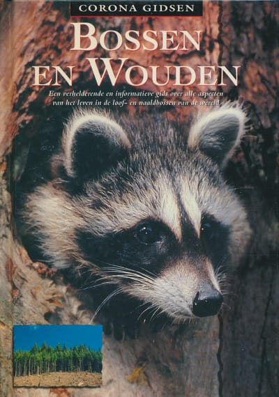 Bossen en wouden - B. Taylor