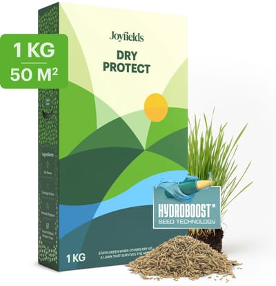 Joyfields Dry Protect - Droogtebestendig graszaad - 1 kg voor 50 m² - Droogte- en hittebestendig - Minder bewatering nodig - Diepe en sterke wortelgroei - Met Hydroboost-coating