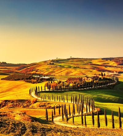 Fotobehang - Tuscany 225x250cm - Vliesbehang