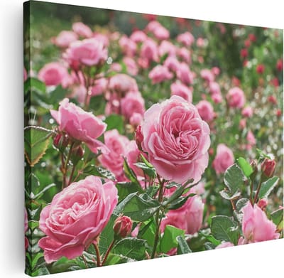 Artaza Canvas Schilderij Bloemen - 40x30 cm - Klein - Wanddecoratie Woonkamer - Muurdecoratie Rozen - Kamer Accessoires Stilleven