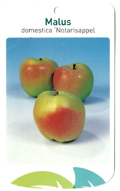 Oosterik home - Malus Domestica Notarisappel