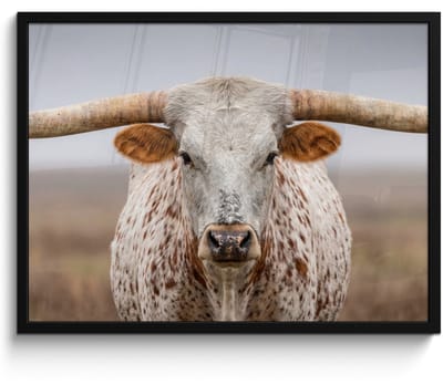 Poster in lijst - Fotolijst 80x60 cm - Posters - Longhorn - Grasveld - Dier - Posterlijst zwart - Decoratie - Wanddecoratie woonkamer - Muurdecoratie slaapkamer