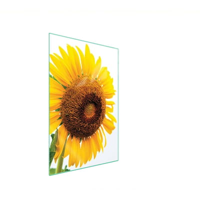 TMK ArtDeko - Snijplank Glas - 35x52 Kwiat - Hartglas - Antislip Voeten