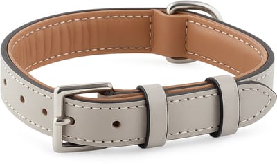 Brute Strength - Luxe leren halsband hond - Licht grijs - M - (36 - 43 cm) x 2,5cm - honden halsband - hondenhalsband - halsband hond leer - leren honden halsband - stoere honden halsband - leren hondenhalsband - leren halsband hond
