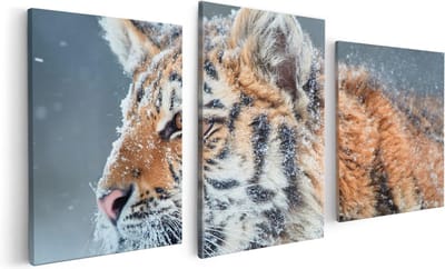 Artaza Canvas Schilderij Drieluik Tijger Tijdens De Sneeuw - 120x60 - Foto Op Canvas - Canvas Print