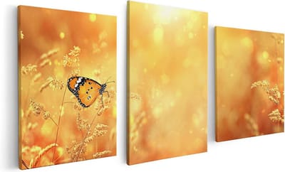 Artaza Canvas Schilderij Drieluik Oranje Vlinder In Het Oranje Veld - 120x60 - Foto Op Canvas - Canvas Print