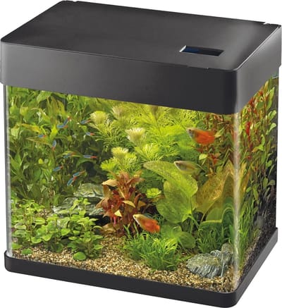 SuperFish Panorama 35 Zwart | 30L | 38 x 25 x 38 CM